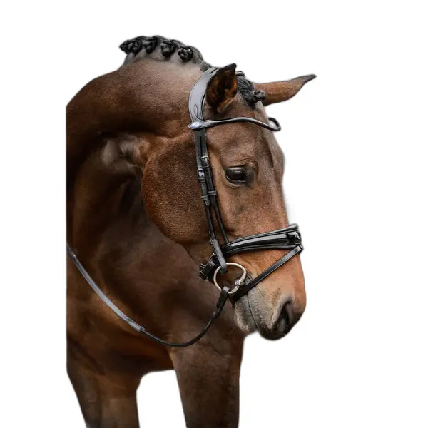 Riding bridle PS of Sweden GP