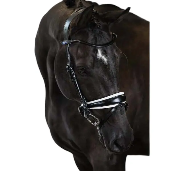Riding bridle PS of Sweden GP