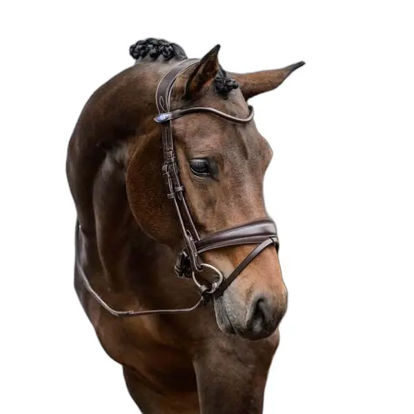 Riding bridle PS of Sweden GP