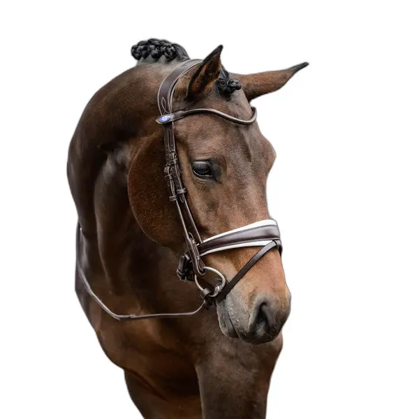 Riding bridle PS of Sweden GP