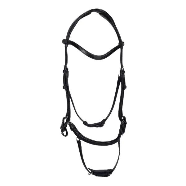 Briglia da equitazione PS of Sweden King Edward