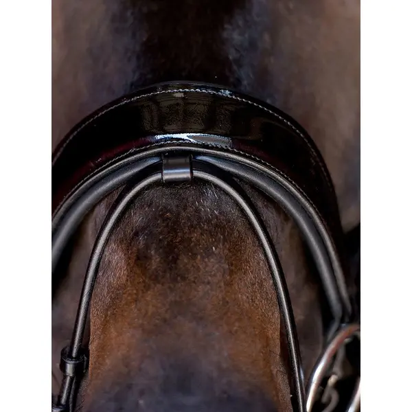 Combination noseband strap for horses PS of Sweden