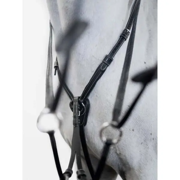 Martingale for horse PS of Sweden Seoul