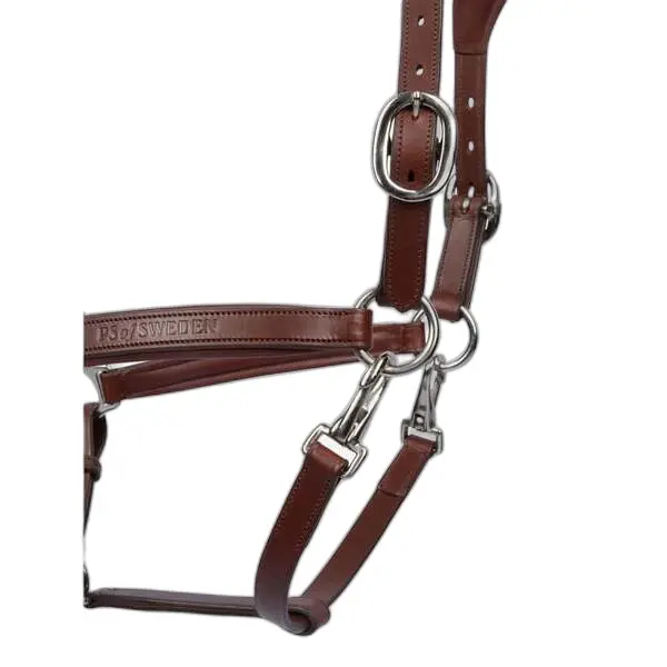 Leather halter for horses PS of Sweden Palermo