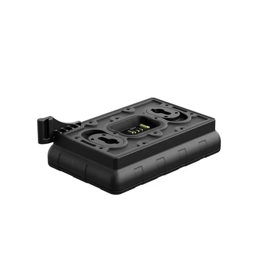 Cargador de batería Pulsard Ips