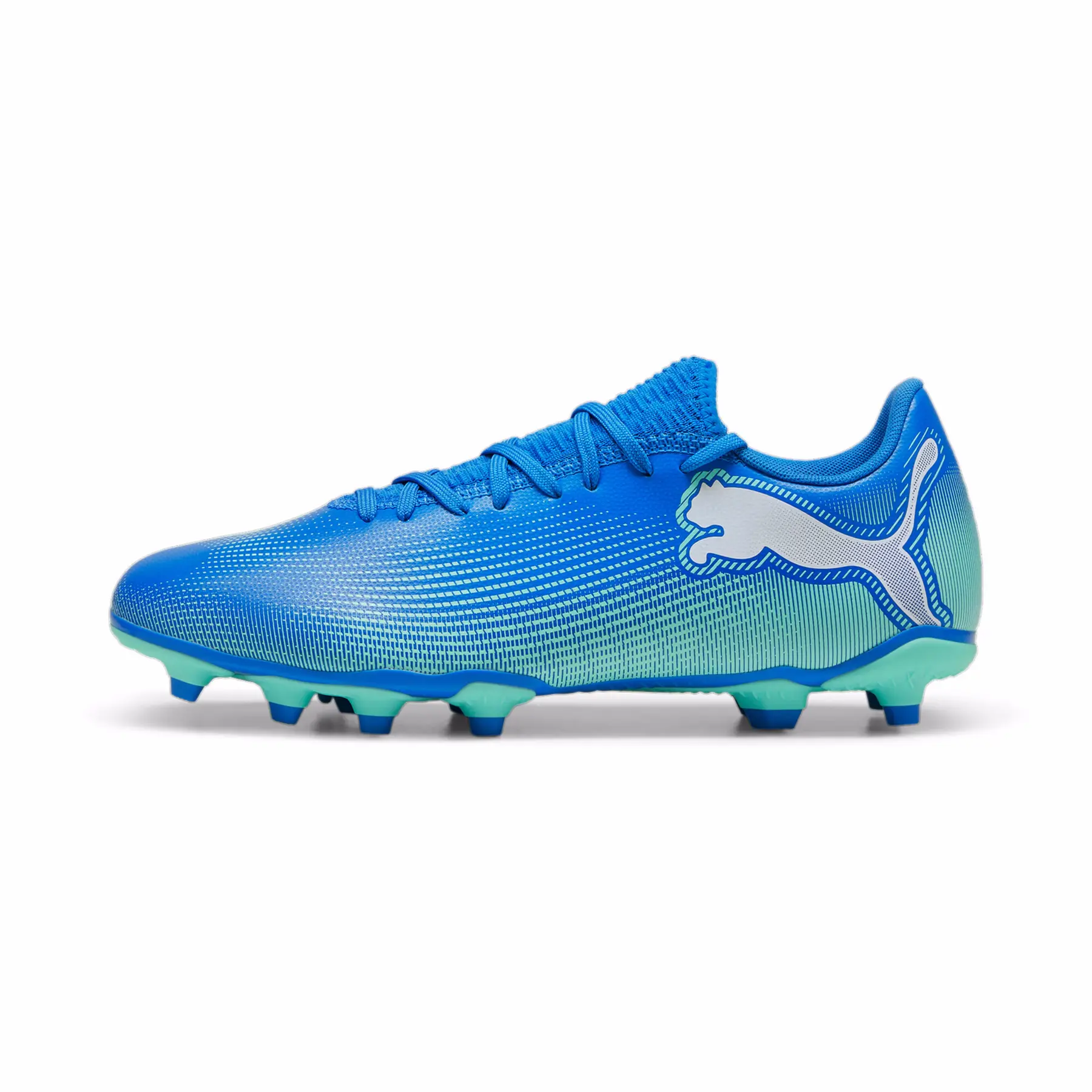Fußballschuhe Puma Future Play Fg/Ag