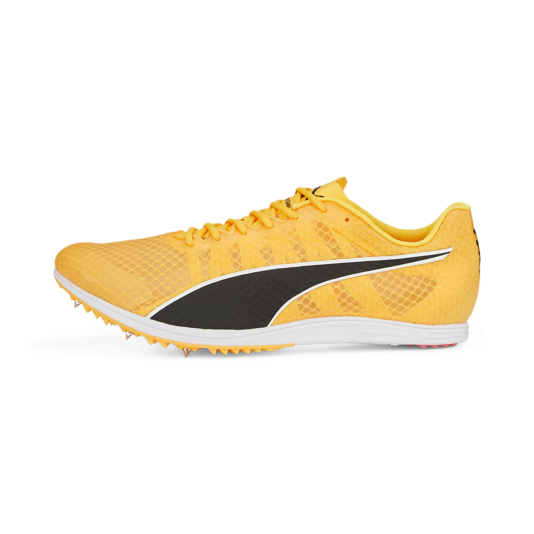 Leichtathletikschuhe Puma Evospeed Distance 11