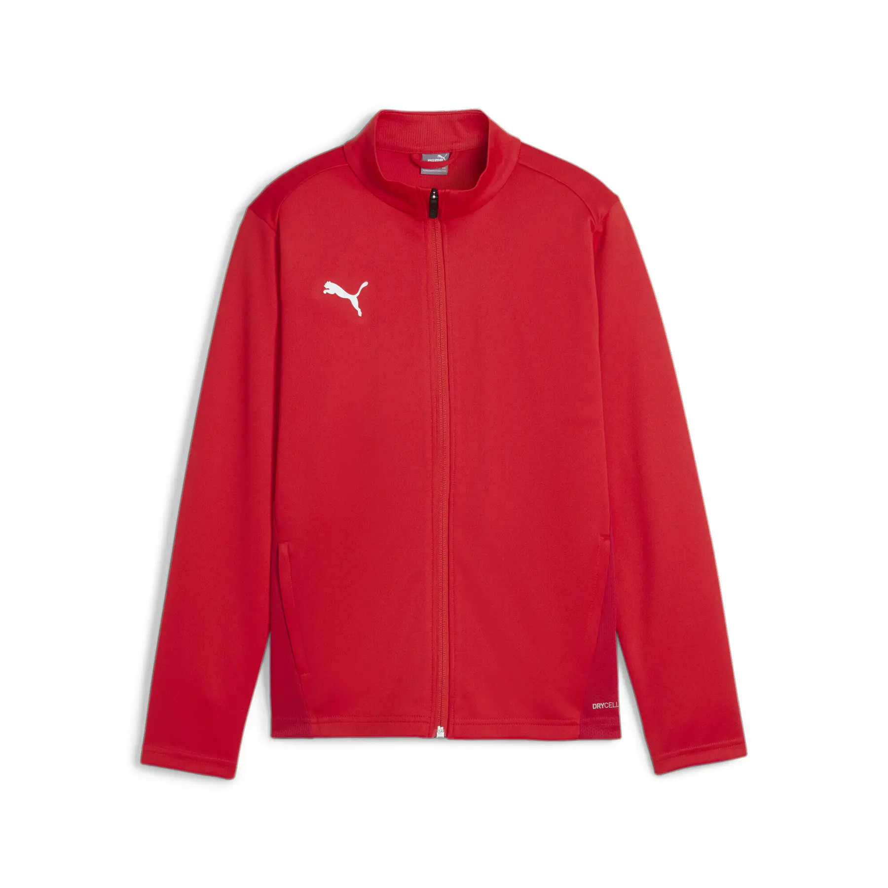 Felpa per bambini Puma TeamGoal