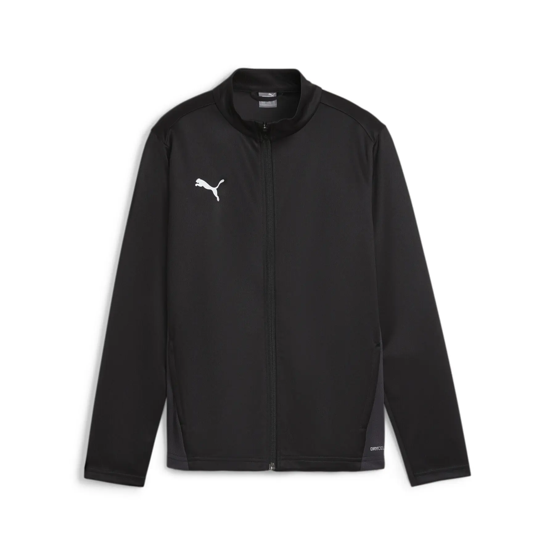 Felpa per bambini Puma TeamGoal