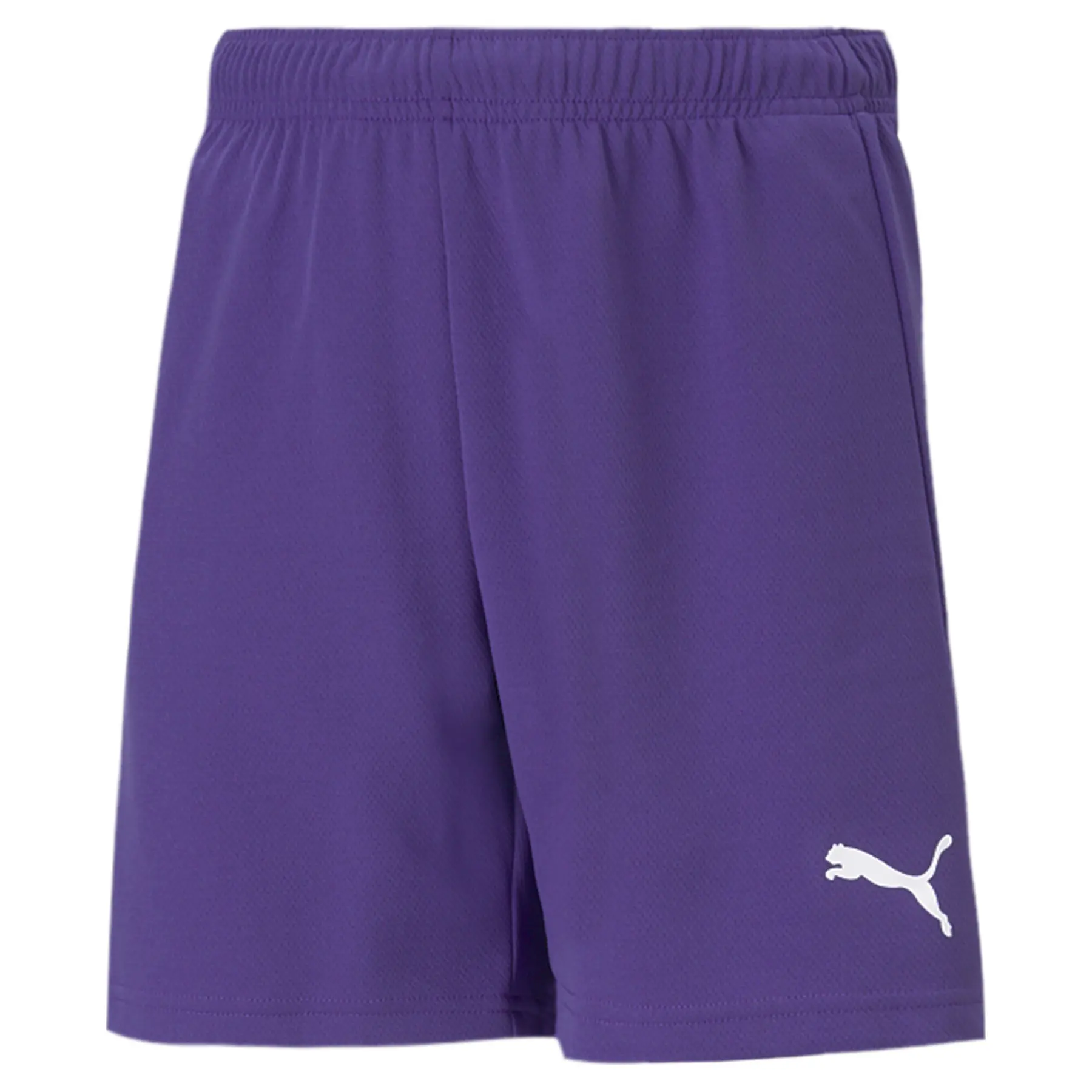 Kindershorts Puma Team Rise