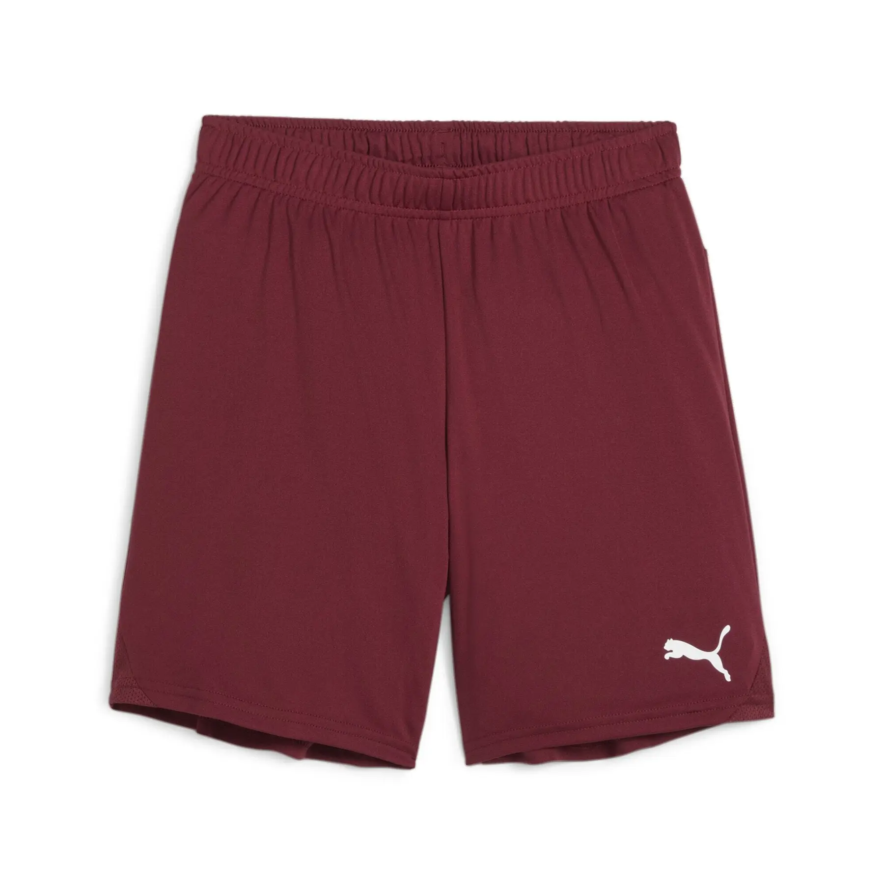 Shorts für Kinder Puma TeamGoal