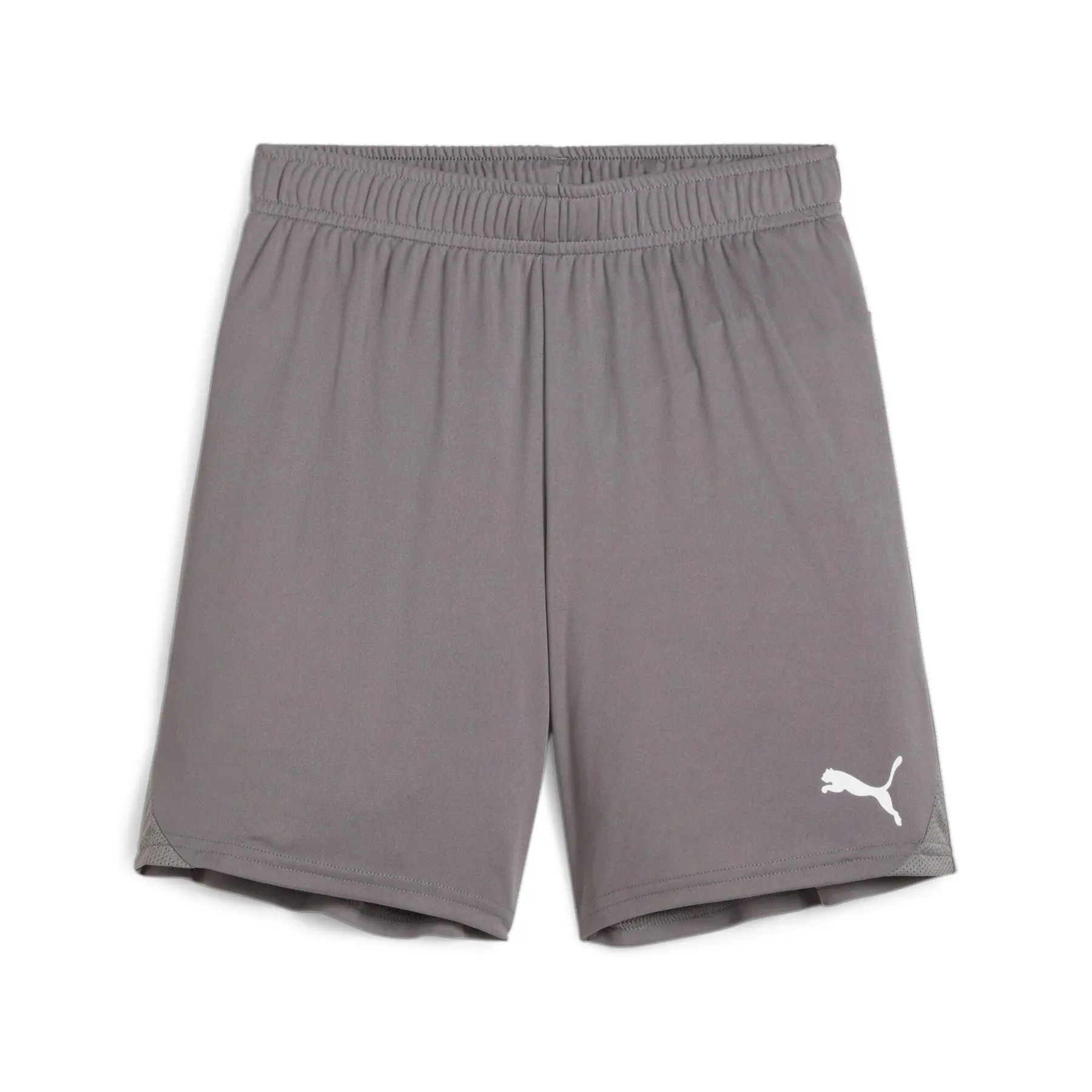 Shorts für Kinder Puma TeamGloal