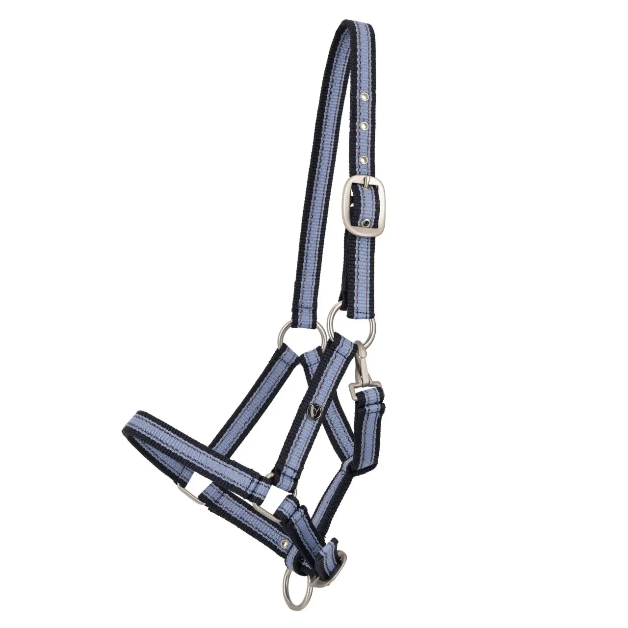 Cavezza QHP