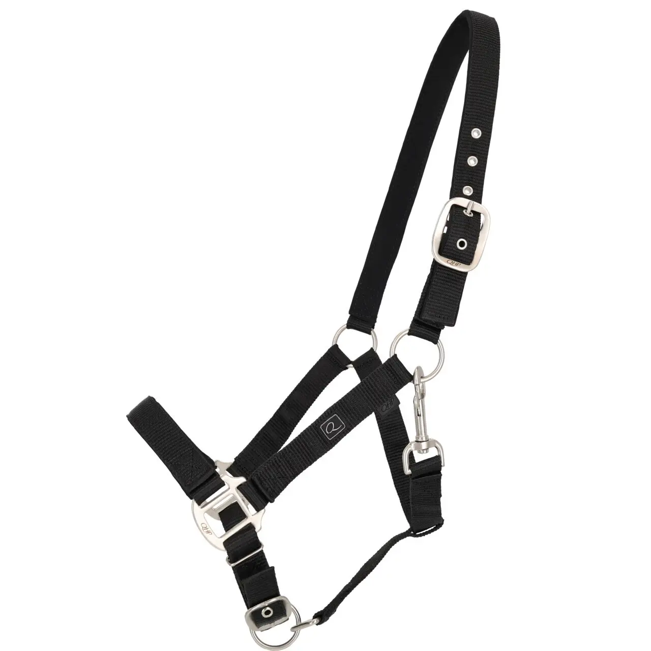 Capestro per cavallo con imbottiture QHP