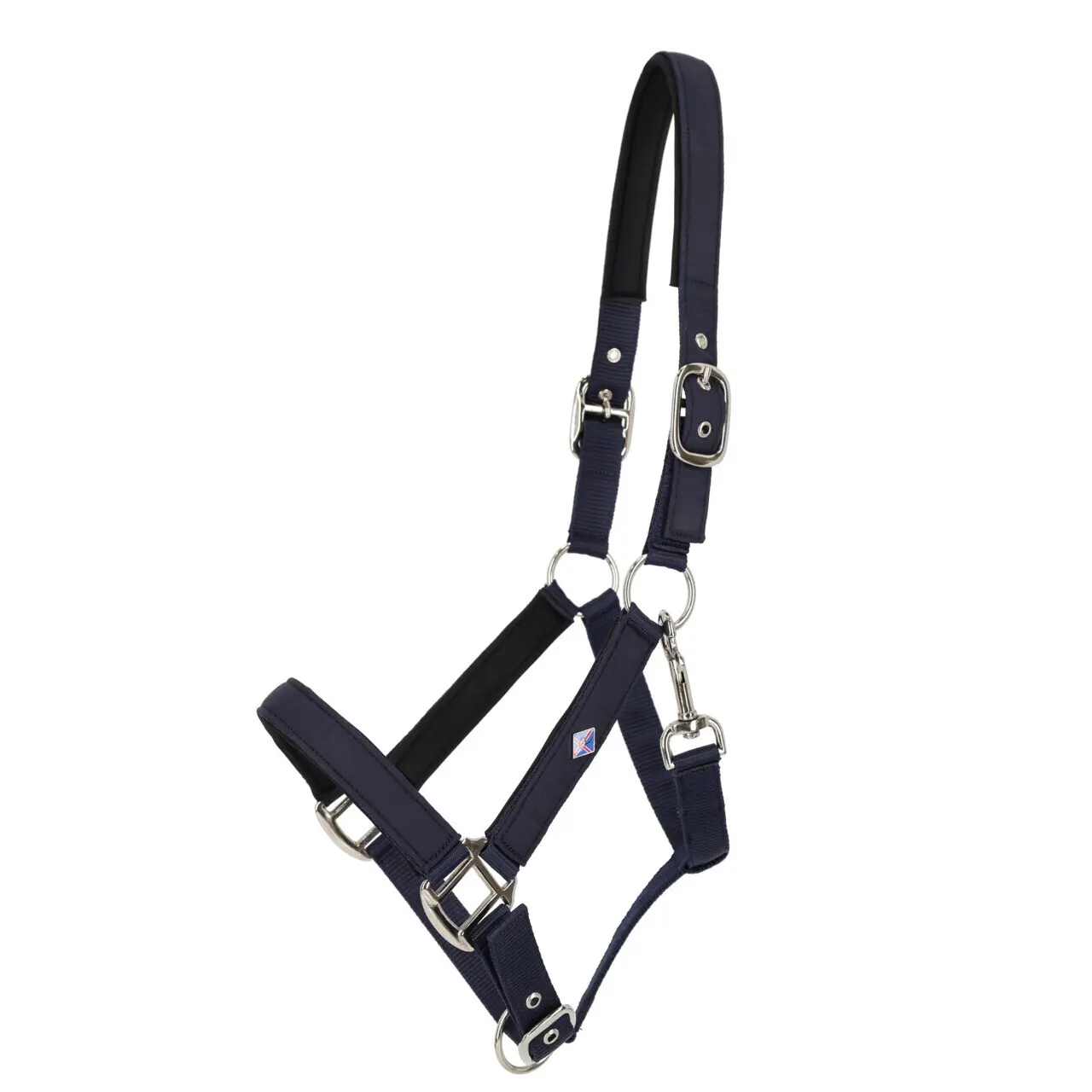 Halter for horse QHP