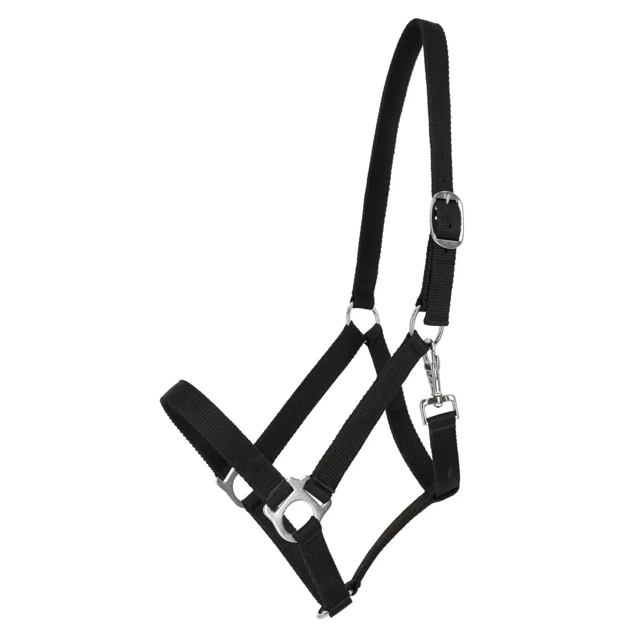 Licol in nylon QHP Basic