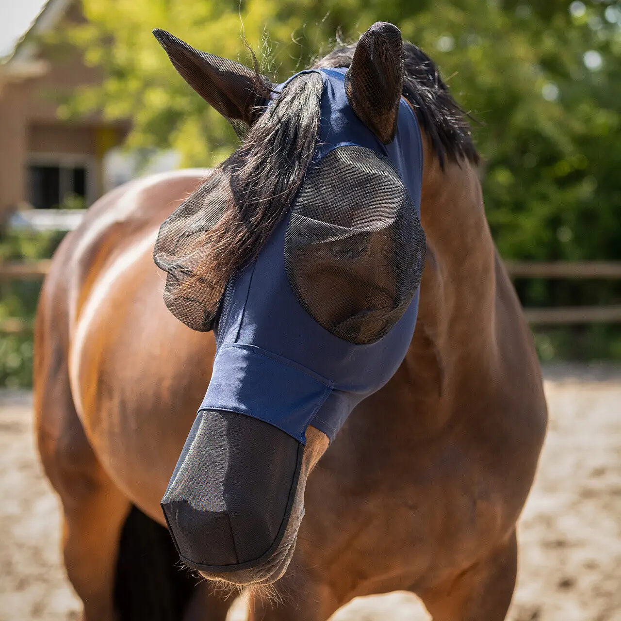 Maschera antimosche per cavallo protezione del naso QHP Super bug
