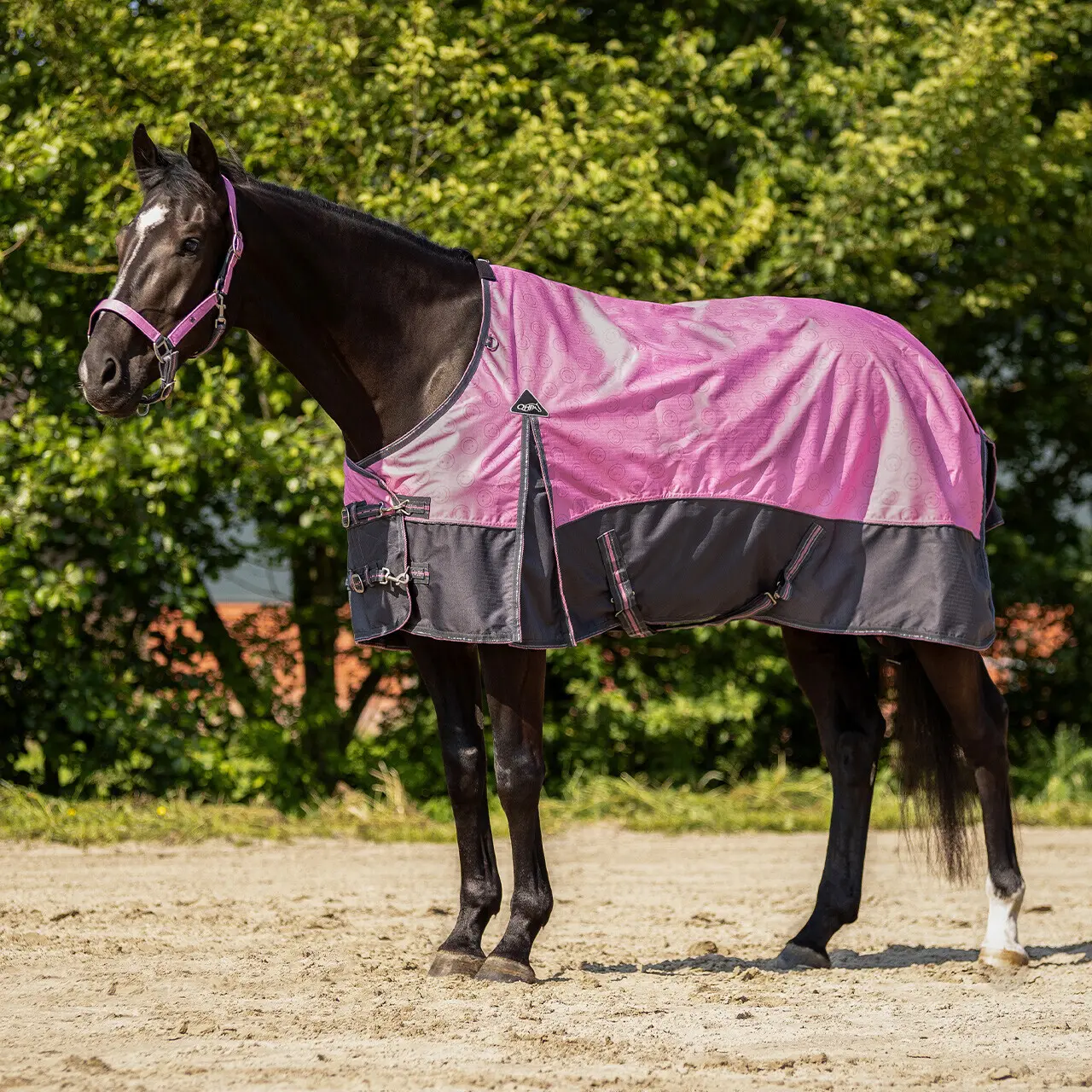 Coperta da paddock per cavalli QHP
