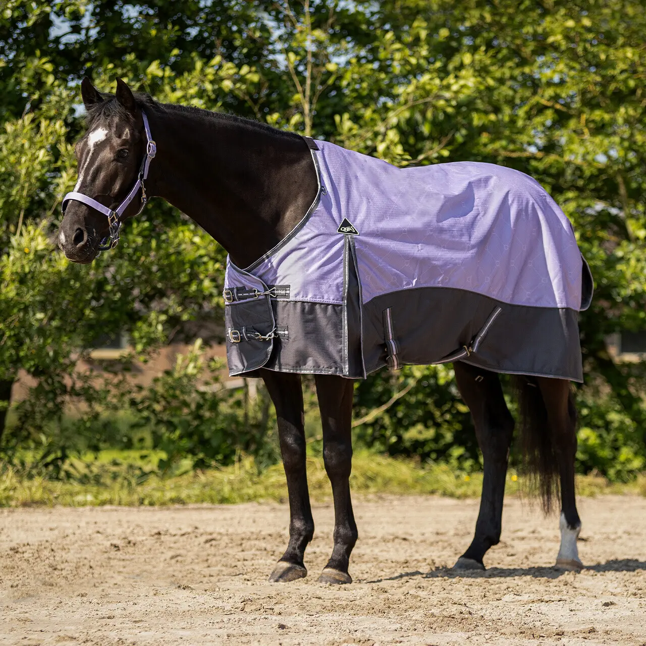 Coperta da paddock per cavalli QHP
