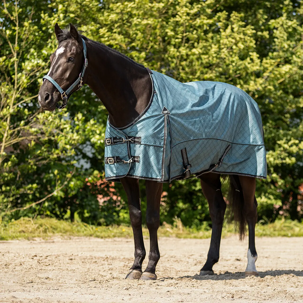 Coperta da paddock per cavalli QHP