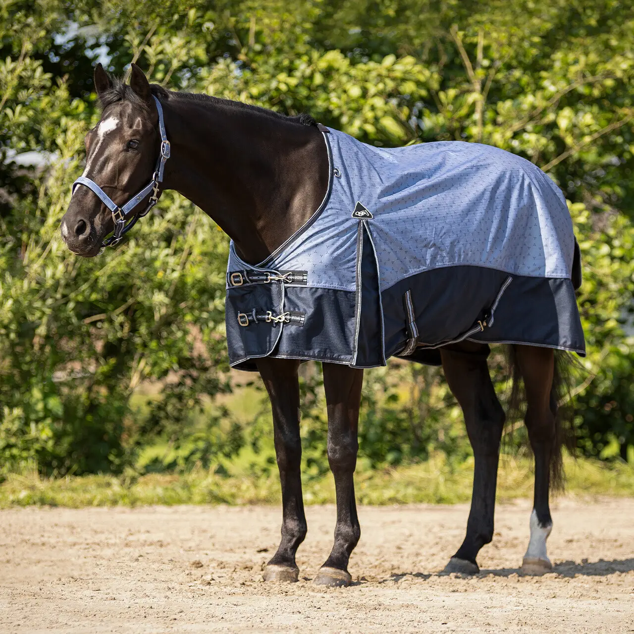 Coperta in pile per cavalli QHP