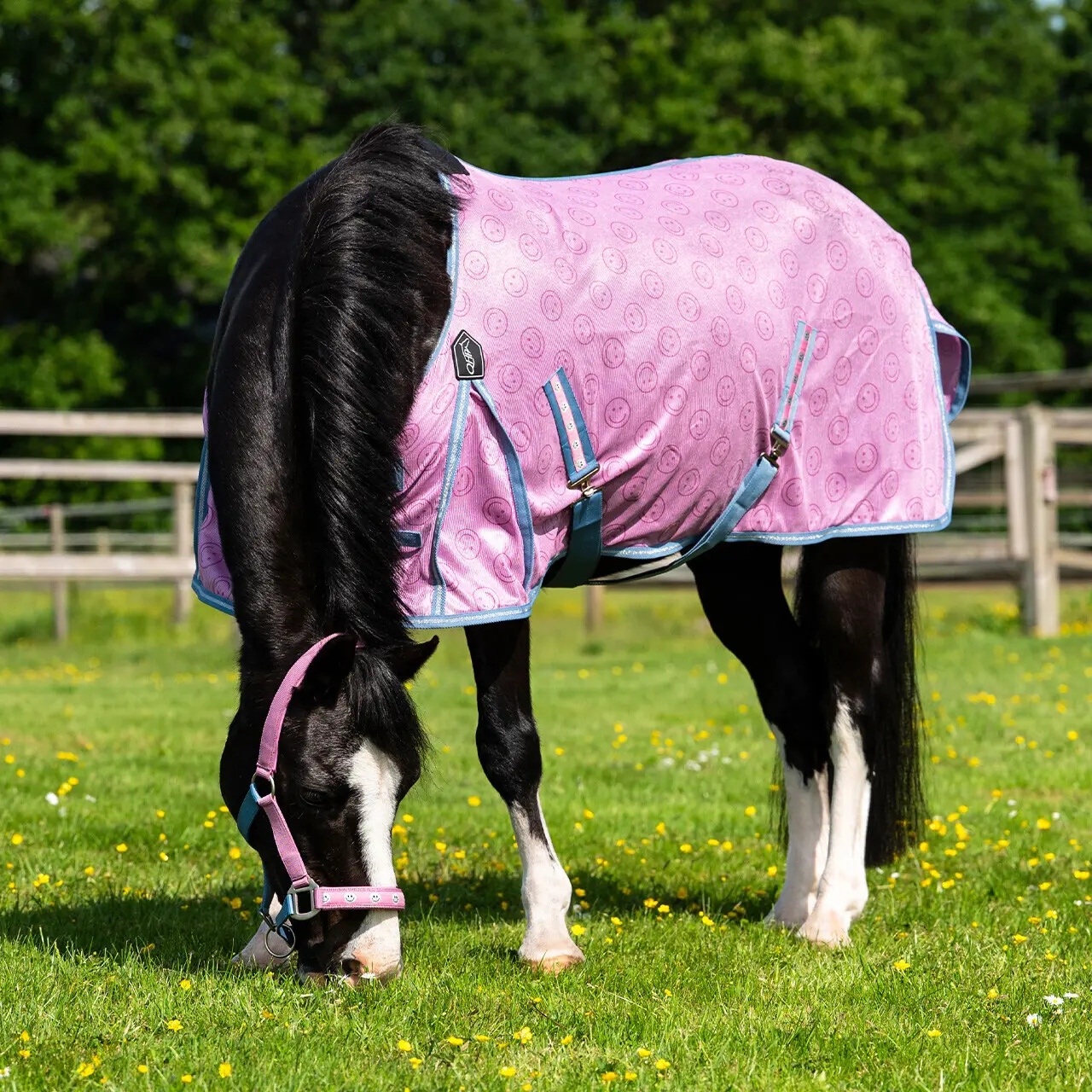 Coprimosche per cavalli QHP Rosalynn