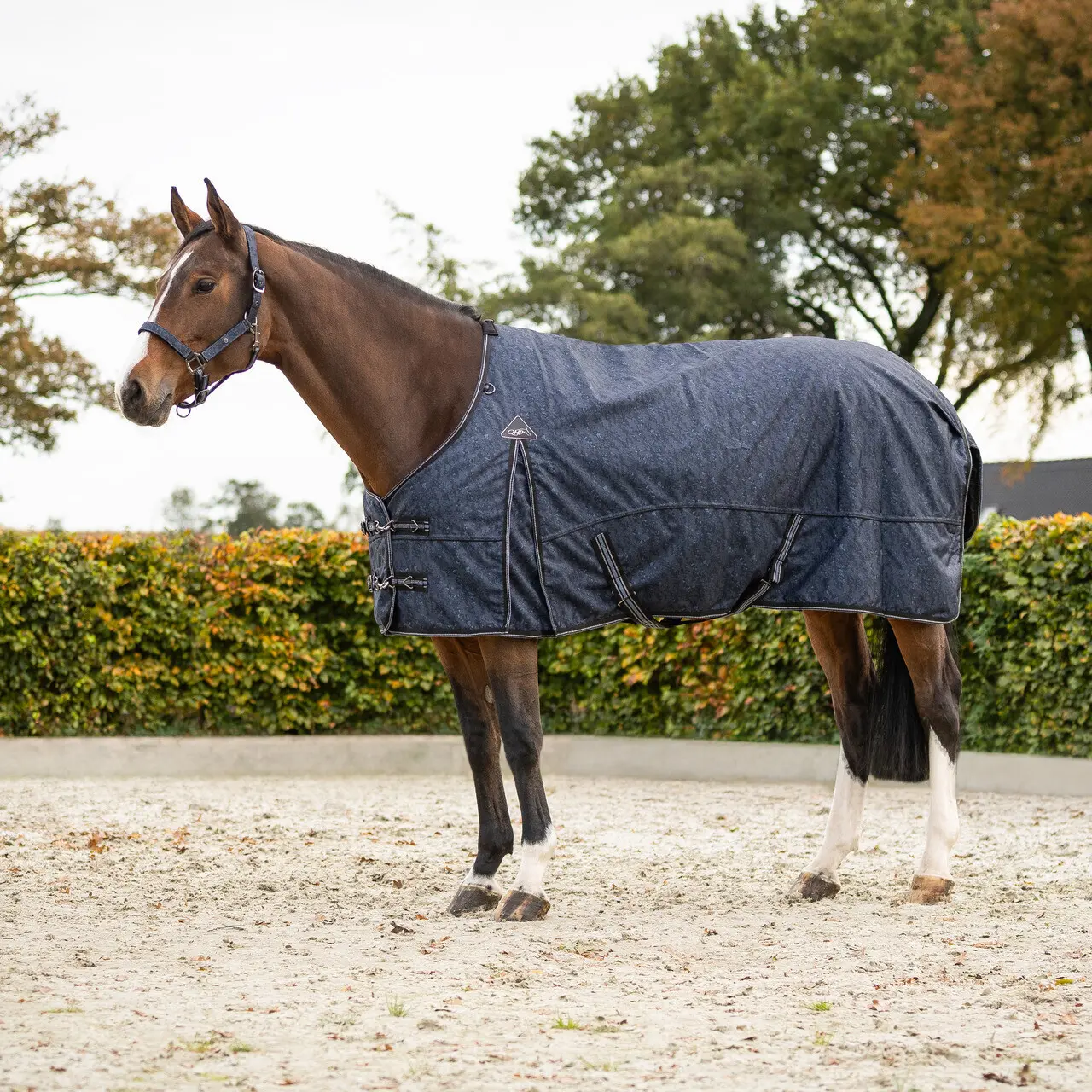 Coperta da paddock per cavalli QHP Collection 300g