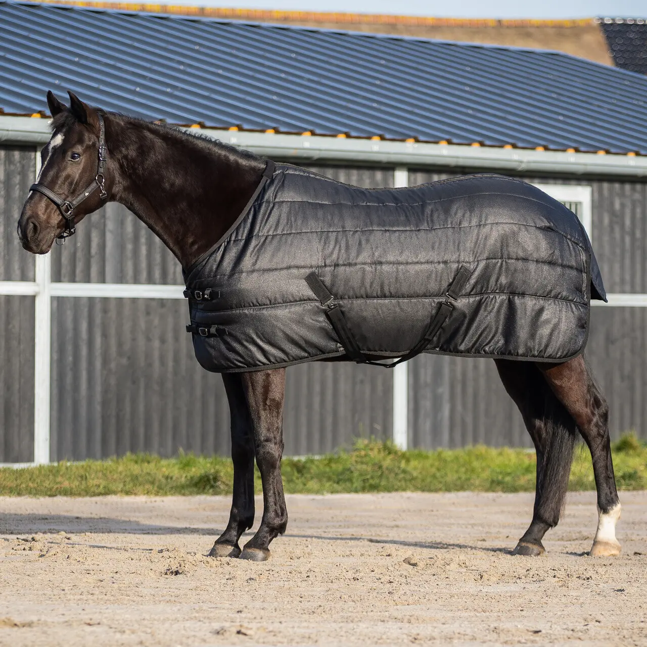 Stable Blanket QHP Glitter