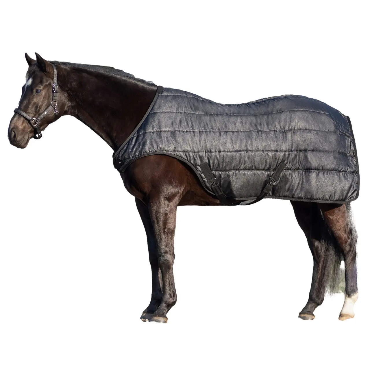 Waterproof Horse Walker Blanket QHP