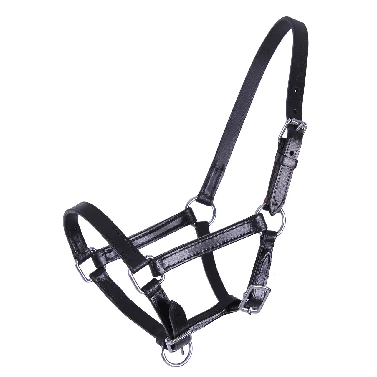 Leather foal halter Q-essentials Chico
