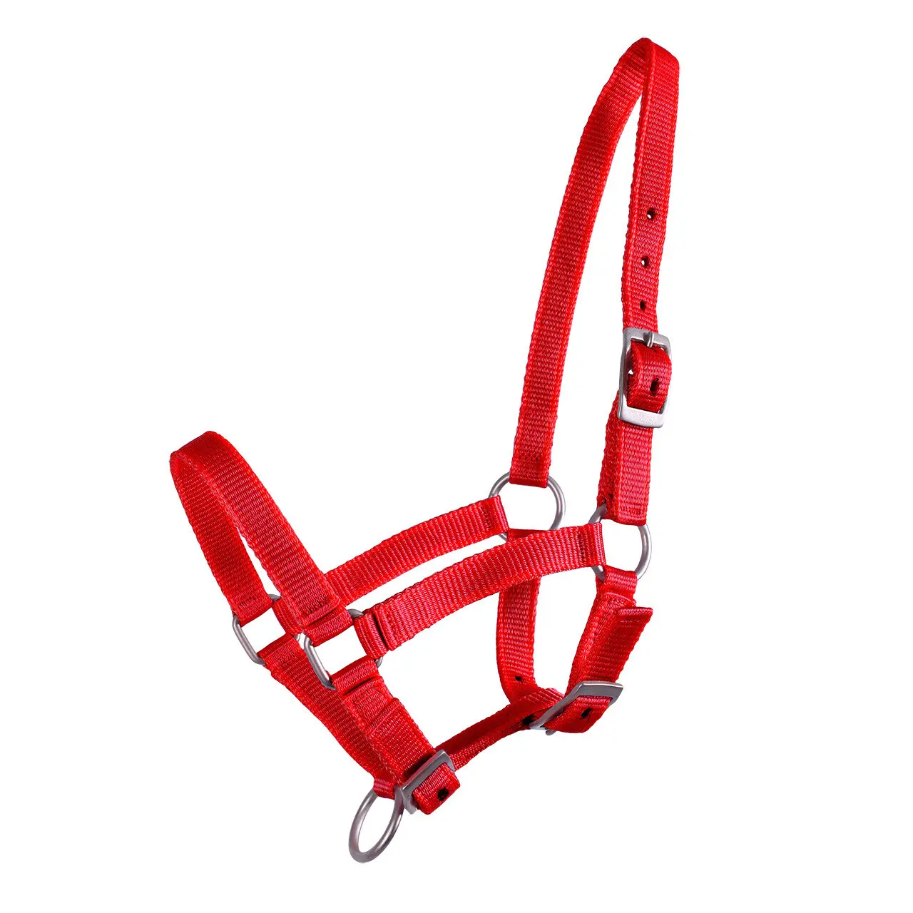 Cavezza per puledro Q-essentials