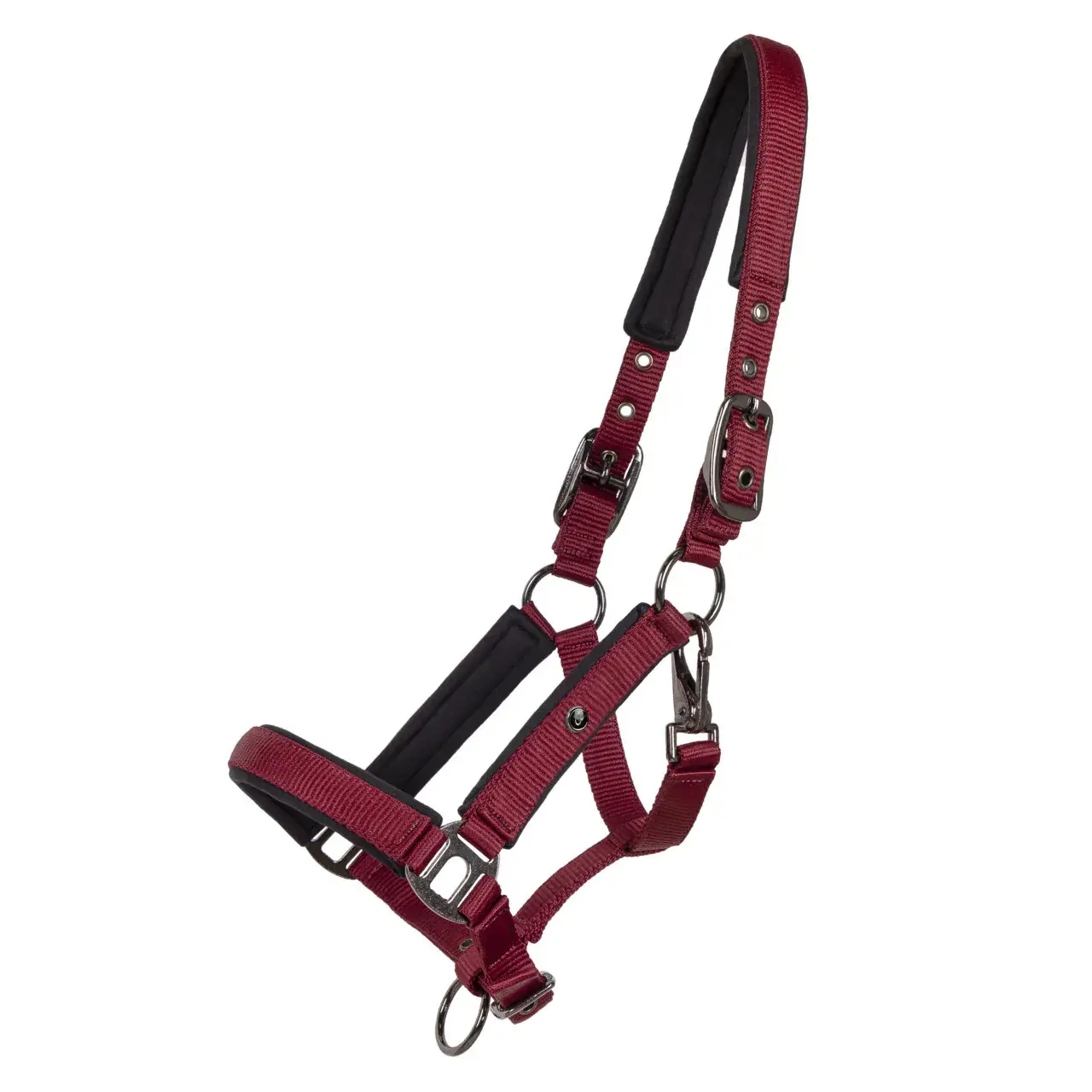 Halter for foal QHP Deluxe