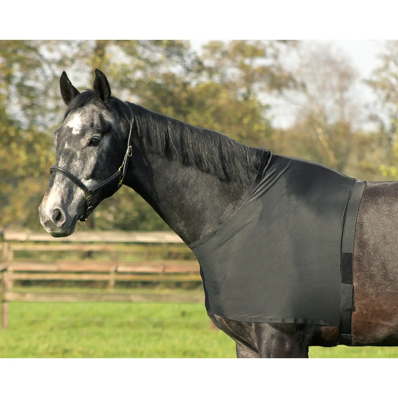 Protezione per petto e spalle in elastan Q-essentials