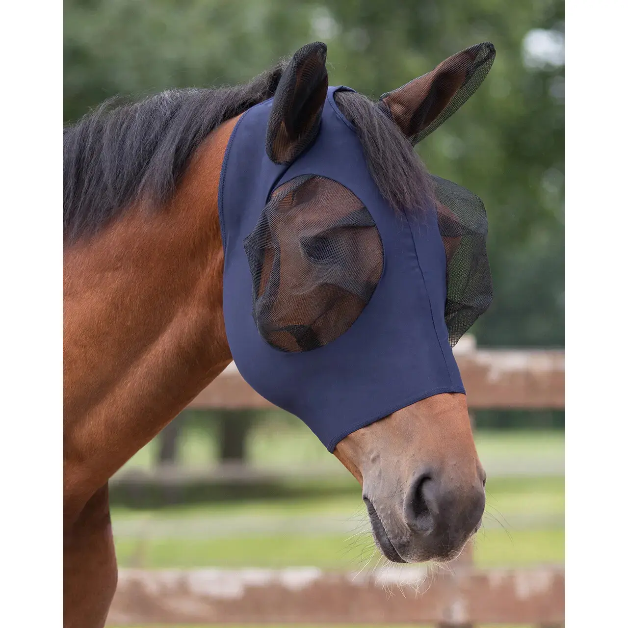 Maschera antimosche
