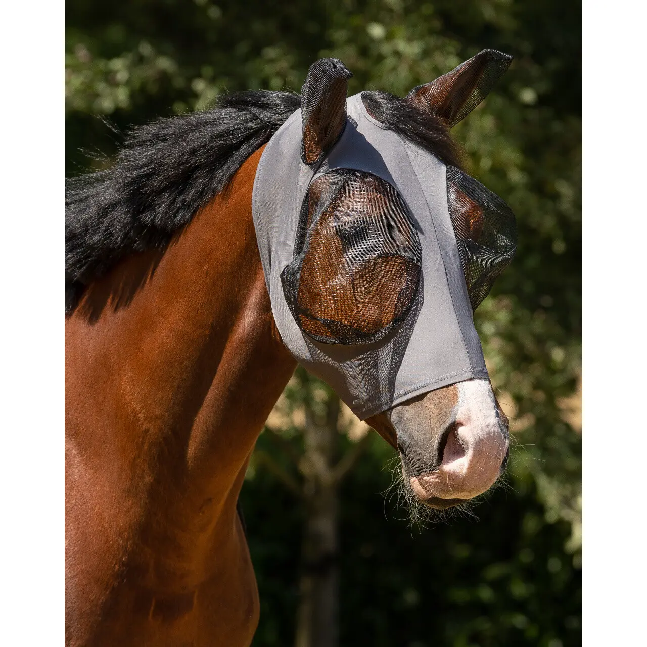 Maschera antimosche per pony QHP Super Bug