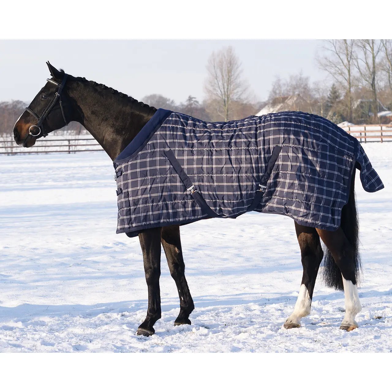 Coperta da stalla per cavalli QHP luxe 300 g