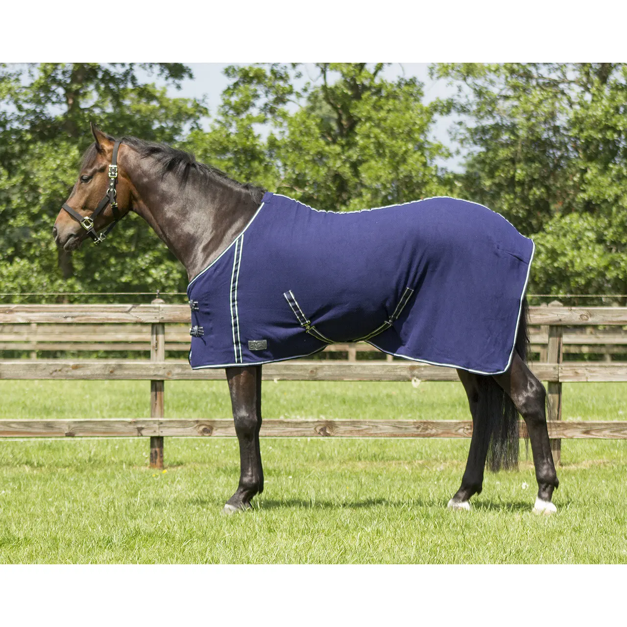 Coperta in pile per cavalli con Sottopancia Q-essentials