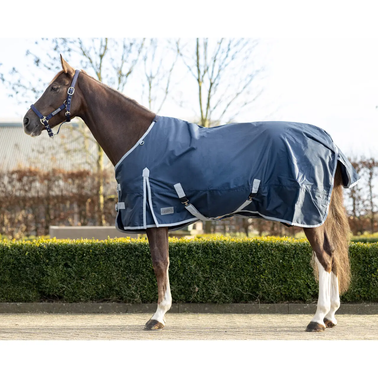 Coperta per cavalli impermeabile in pile QHP Turnout 300g