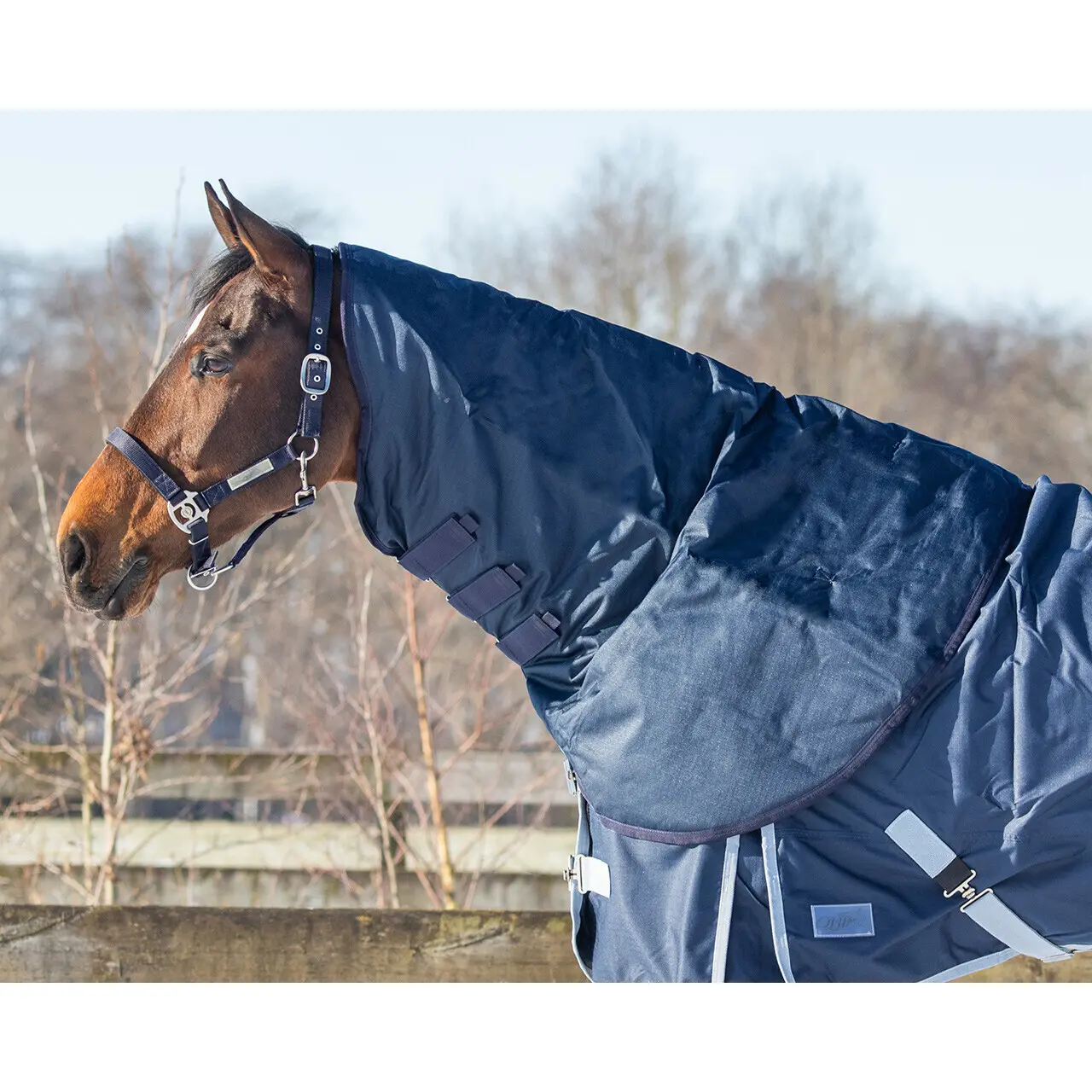 Coperta impermeabile per cavalli QHP 200 g