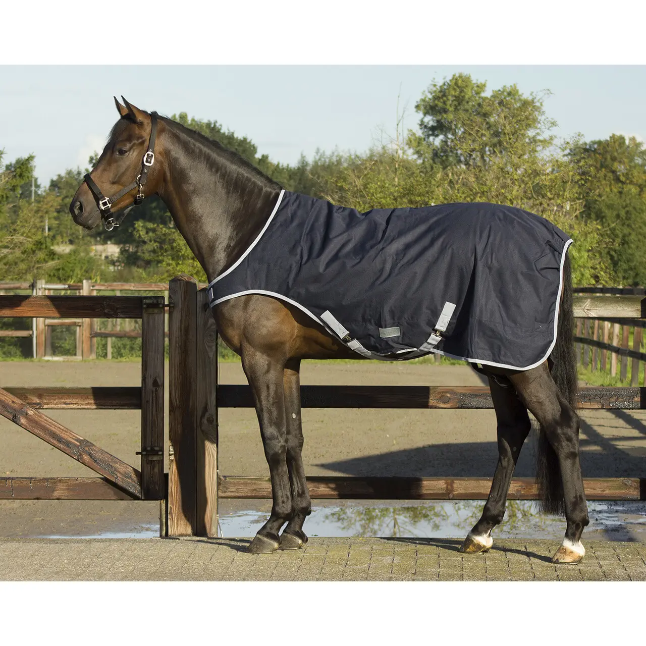 Coperta impermeabile per cavalli QHP 200 g