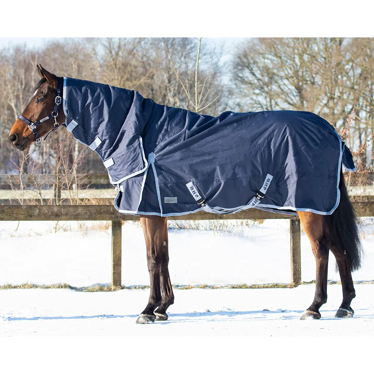 Coperta per cavalli con copricollo alto integrato QHP Turnout 300 g