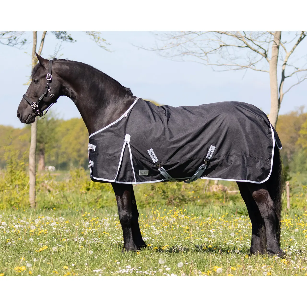 Coperta esterna per cavalli standard QHP