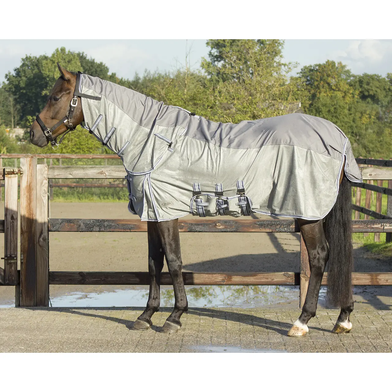 Coperta antimosche per cavalli con copricollo alto QHP Combo