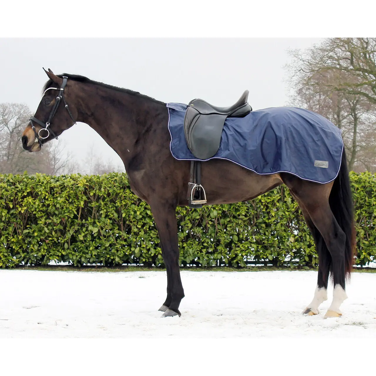 Wollfutterdecke für Pferde Q-essentials 420D