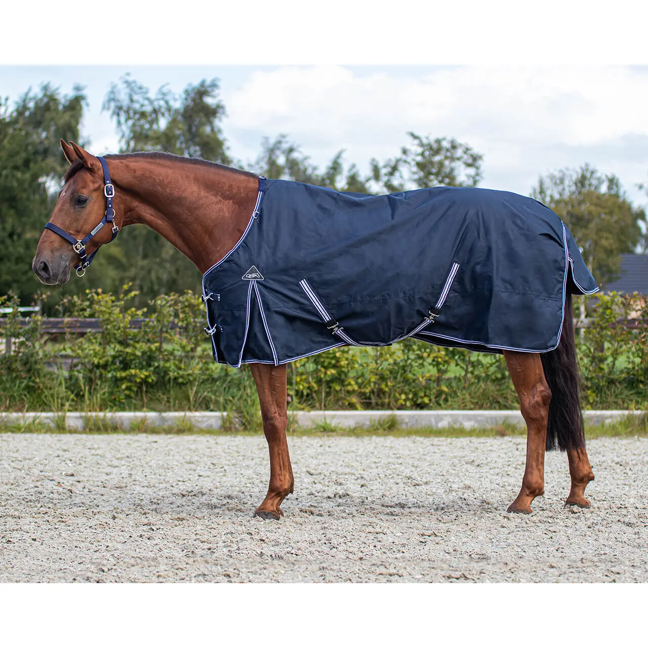Coperta da esterno per cavalli QHP Luxury 50g