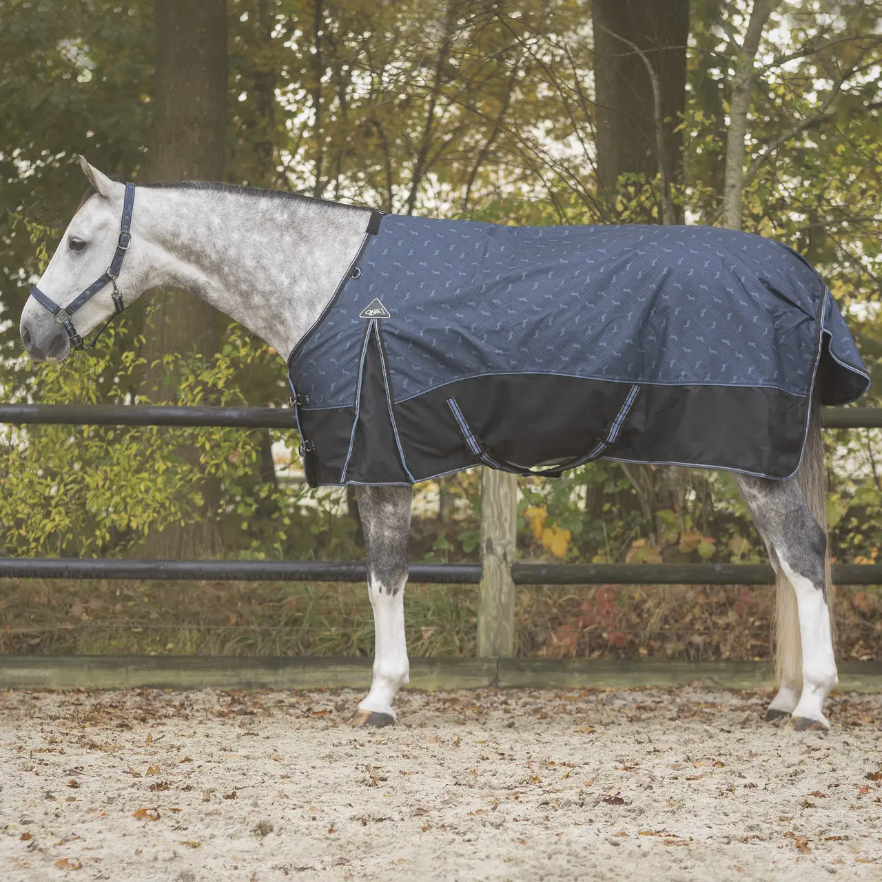 Coperta per cavalli QHP Collection 150 g