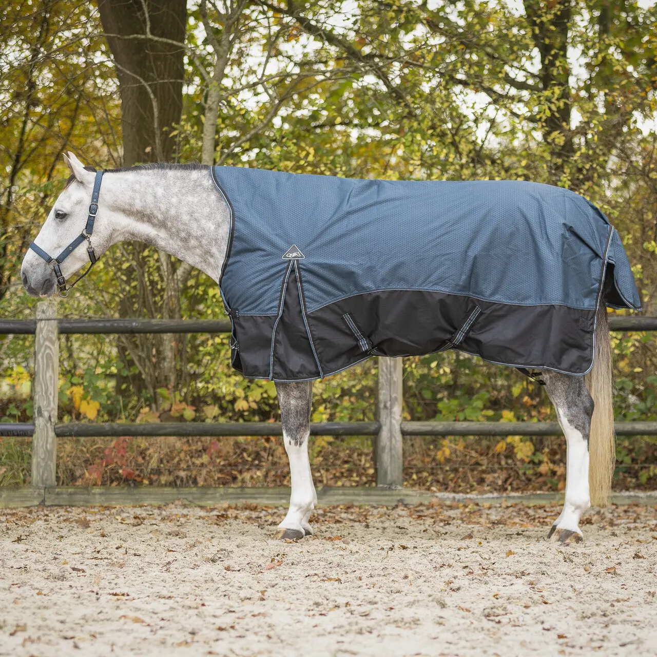 Coperta mezza luna per cavallo QHP Collection 150g
