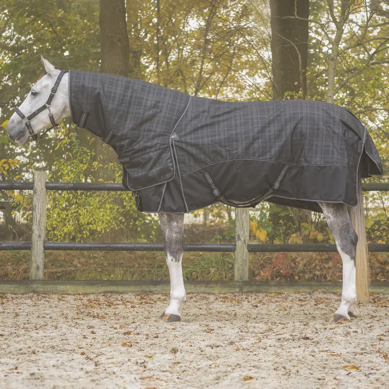 Coperta staccabile per cavallo al collo QHP Collection 150g