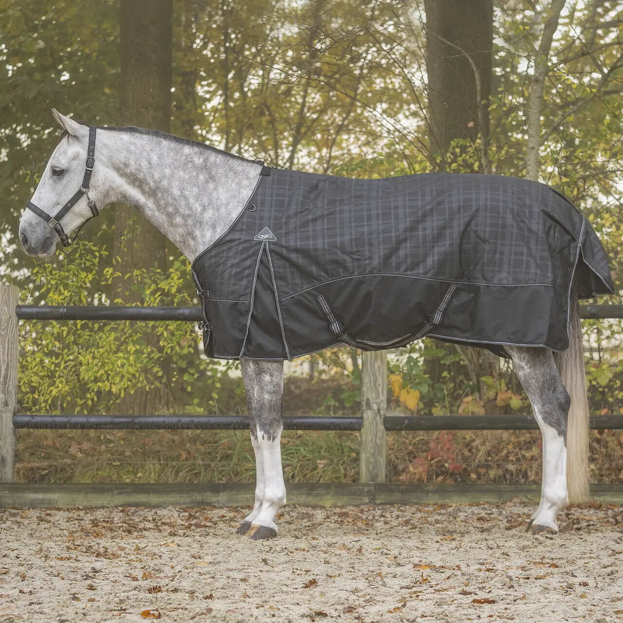 Coperta da paddock per cavalli QHP Collection 300g