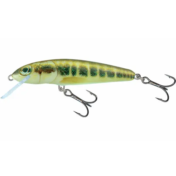 Drijvend kunstaas Salmo Minnow 6g
